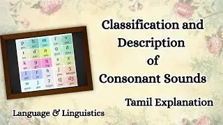 Classification and Description of Consonant Sounds | Tamil Explanation | Language & Linguistics 
