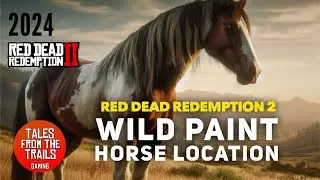 🎤 RDR2: Где найти пейнтхорсов | Расположение на карте диких американских пейнтхорсов | Легко!