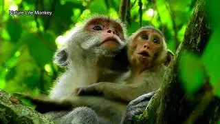 Poor Janet&mom Jane cry no sound hug each other of happiness,Jane worry saw rotten Janet finger