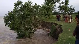নদীভাঙ্গন যখন চোখের সামনে হয়।#padma #river #viralvideo #viral #নদী #বন্যা #everyone