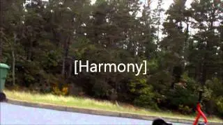 harmony skate team