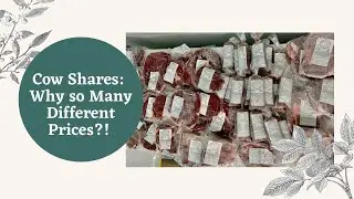 Cow Share Pricing Explained - What&rsquo;s the Deal with the Major Differences??