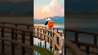 Panda riding a bike #Nelly #riding