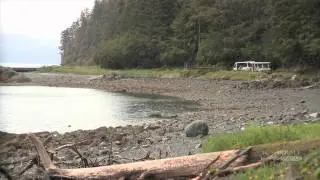 Icy Strait Point Forest and Nature Tram