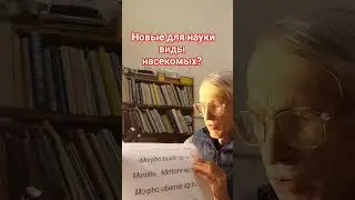 КАК ЭНТОМОЛОГИ НАЗЫВАЮТ НОВЫЕ ДЛЯ НАУКИ ВИДЫ НАСЕКОМЫХ? ПРЕДЛАГАЮ НОВЫЕ ЯРКИЕ ИМЕНА!