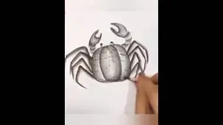 easy crab drawing #shortvideo #youtubeshorts #art #trending #drawing #viral #shorts #viralvideo