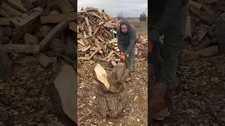 splitting a large knotty log🪵🪓✔️ #woodworking #wood