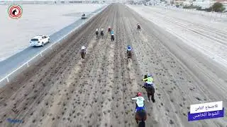 الاجتماع الثامن مضمار الشيخ صباح الناصر الصباح 24/12/2025