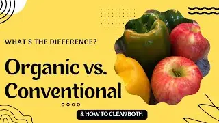 Organic versus conventional produce - how to wash fruits and vegetables