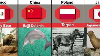 Extinct Animals From Different Countries