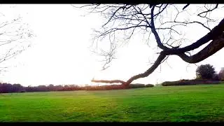 Sutton Coldfield Park 4K