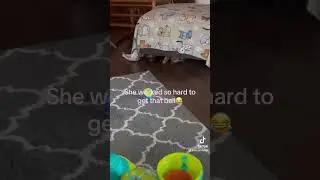 Mini dog working hard💪 #puppy #fypシ゚viral #tinypets #babyanimal #tinydogs #tinypaws #babydog #mini