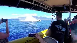 TRIPLE BREACH on Whale Watching Tour!