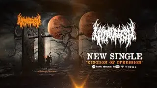 VITAL FLESH - KINGDOM OF OPPRESSION [SINGLE] (2024) SW EXCLUSIVE