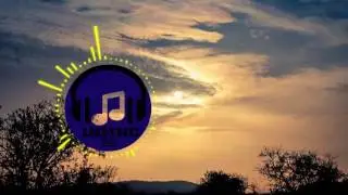 Chris Zabriskie - I Don't See the Branches, I See the Leaves [Ambient] (Loop)
