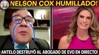 ANTELO HUMILLÓ AL ABOGADO DE EVO MORALES NELSON COX! MASISTAS LLORAN! | Alele en Bolivia