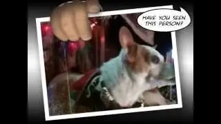 WeaselCam