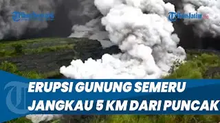 UPDATE Erupsi Gunung Semeru 19 November 2025, Luncuran Awan Panas Jangkau 5 Km dari Puncak