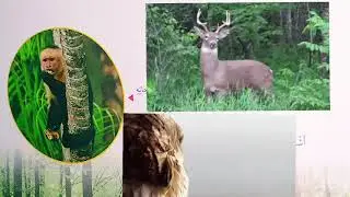 شرح درس البيئة علوم الصف الأول المنهاج الأردني+حل المراجعةوملخص للدرس في نهاية الفيديو #الجزء_الثاني