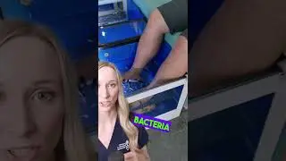 Would you try this? Fish Pedicures.#pedicure #skincare #dermatologist