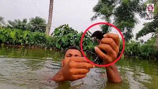 মরার হাত থেকে ফিঙে পাখিকে উদ্ধার করা প্রকৃতিতে ফিরিয়ে দেওয়া।Bird rescue।Rescue of a black drongo।