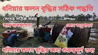 ধনিয়ার ফলন বাড়ানোর উপায় | dhone সেচ পদ্ধতি সার প্রয়োগ | dhoniar folon biddhi.ধনে চাষ পদ্ধতি 
