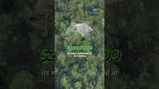 Mystery of abandoned house in the woods in New Jersey