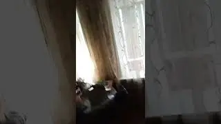 Представьте, Евсейка летает