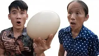 Hưng Vlog - Troll Mẹ Bà Tân Vlog Ăn Quả Trứng Khủng Long Thần Kỳ Và Cái Kết