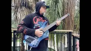 Shred/Slap Bass Ibanez EHB1505MS