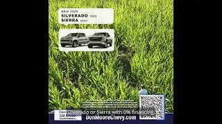 Get a Silverado or Sierra with 0% Financing During the Fall Event at Don Moore GM Center