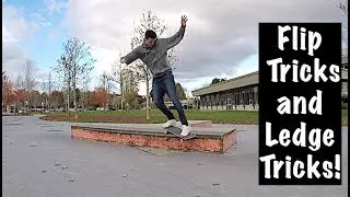 37 YEAR OLD SKATER DOES 37 FLIP TRICKS AND 37 LEDGE TRICKS!