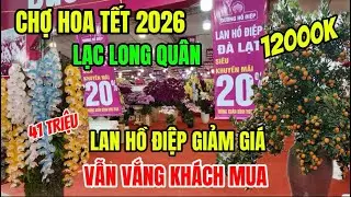 Chợ Phiên Tết 2026- Quất Thế 1200K Một Cây Đem 9 Cây Bán Ngay 3 Cây/ Lan Hồ Điệp Giảm Giá Vẫn Ế