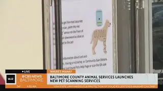 Where's Miana? Learning more about microchips and a new pet scanning service
