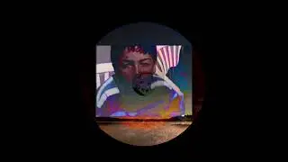 Ben Schillaci - A Tree Grows in the Belly of the Beast
