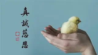 淨語錄 | 對惡性的眾生，也要慈悲對待