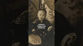 Korea's forgotten Princess #story #history #illustrationnation #storytime #facts #fyp