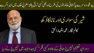 Muhammad Izhar Ul haq Column 1