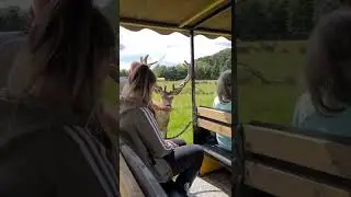🚜 TRACTOR TRAILER RIDES ARE BACK! - The Scottish Deer Centre