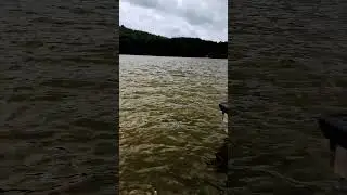 Salt Fork State Park Lake! 2025
