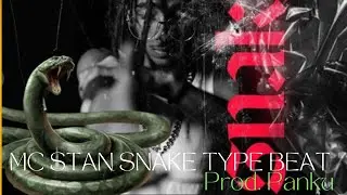 MC STAN SNAKE TYPE BEAT - Kansen | prod. Panku'