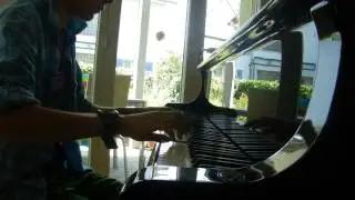 Lucas Schenck plays Jarrod Radnich's Incredible Piano Solo of Hedwig's Theme (Harry Potter)