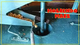 Moliendo Ma&iacute;z || Vida en el campo #vidaautosuficiente
