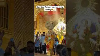 Amritsar biggest langoor mela is coming 😍🙏 #viral #hanuman #langoormela #amritsar #durgianamandir