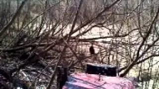 Romping around on the red Murray buggy