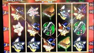 AMAZING HUGE WINS ON COOL CATZ SLOTS CASINO ACTION