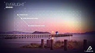 EverLight - Revenio (Mrmilkcarton Remix) [Silk Music]