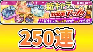 アイドルロワイヤル2ndシーズン初日ガシャ250連【妖怪ウォッチ ぷにぷに】
