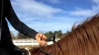 How to switch hands with a whip