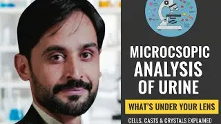 Microscopic Analysis of Urine (Part3)